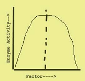 normal bell shaped curve