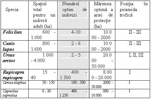 Text Box: Specia Spatiul vital pentru un individ adult (ha) Numarul optim de indivizi Marimea optima a ariei de protectie
(ha) Pozitia in piramida trofica
Felis linx 600 - 1.000 4-10 10.000 - 2000 II - III
Canis lupus 800 - 1.600 2 - 6 10.000 - 2000 II - III
Ursus arctos 1.000 - 4.000 2 - 5 20.000 - 50.000 I, II, III
Rupicapra rupicapra 15 - 40 400 - 1.300 8.000 - 20.000 I
Cervus elaphus 50 - 150 180 - 500 2000 - 50.000 I
Capreolus capreolus 8 - 20 400 - 1.250 000 - 10.000 I
