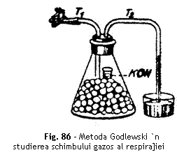Text Box:  
Fig. 86 - Metoda Godlewski `n studierea schimbului gazos al respira]iei
