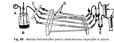 Text Box: 
Fig. 88 - Metoda Pettenkoffer pentru determinarea respira]iei la plante
