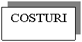 Text Box: COSTURI