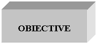 Text Box: OBIECTIVE
