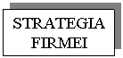 Text Box: STRATEGIA FIRMEI