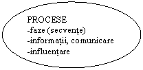 Oval: PROCESE
-faze (secvente)
-informatii, comunicare
-influentare

