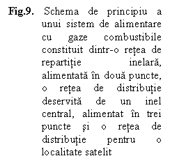 Text Box: Fig.9.	 Schema de principiu a unui sistem de alimentare cu gaze combustibile constituit dintr-o retea de repartitie inelara, alimentata in doua puncte, o retea de distributie deservita de un inel central, alimentat in trei puncte si o retea de distributie pentru o localitate satelit

