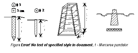 Text Box: 
Figura 6.3 - Marcarea punctelor


