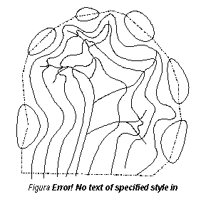 Text Box:  
Figura 2.7 - Bazinul hidrografic.

