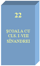 Text Box: 22


SCOALA CU CLS. I-VIII SINANDREI
