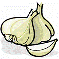 Filename: j0411888.wmfKeywords: food, garlic, garlic cloves File Size: 44 KB