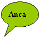 Oval Callout: Anca