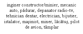 Text Box: inginer constructor/minier, mecanic auto, padurar, depanator radio-tv, tehnician dentar, electrician, bijutier, istalator, masinist, miner, lacatus, pilot de avion, tamplar

