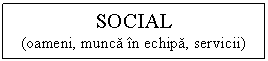 Text Box: SOCIAL
(oameni, munca in echipa, servicii)
