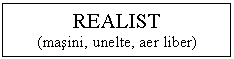 Text Box: REALIST
(masini, unelte, aer liber)
