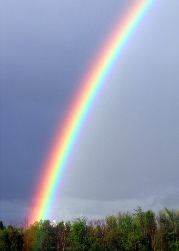 external image rainbow-too.jpg