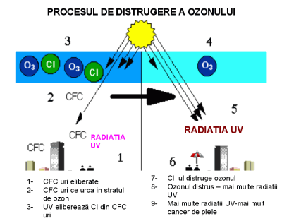 C:Documents and SettingsLUCYDesktoppoze cu atestatproces de distrugere a ozonului.gif