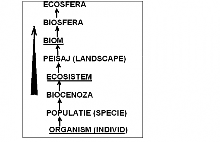 Ecologie mediu - documente si informatii despre ecologie ...