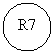 Oval: R7