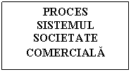 Text Box: PROCES
SISTEMUL SOCIETATE COMERCIALA
