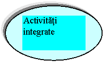 Oval: Activitati integrate