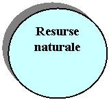 Oval: Resurse naturale