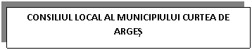 Text Box: CONSILIUL LOCAL AL MUNICIPIULUI CURTEA DE ARGES
