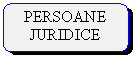 Rounded Rectangle: PERSOANE JURIDICE

