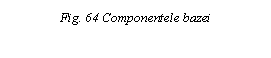 Text Box: Fig. 64 Componentele bazei