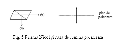 Text Box:  
Fig. 5 Prisma Nicol si raza de lumina polarizata
