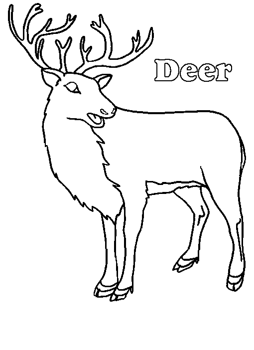 deer[1].gif