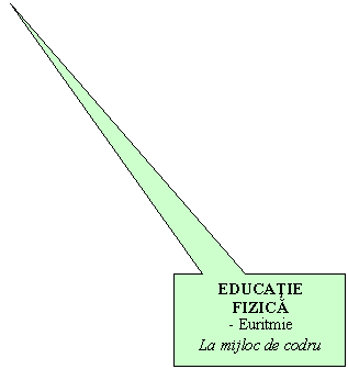 Rectangular Callout: EDUCATIE
FIZICA
- Euritmie
La mijloc de codru
