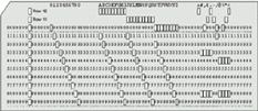 IBM 80-column punched card format