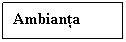 Text Box: Ambianta