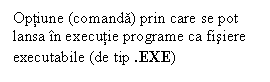 Text Box: Optiune (comanda) prin care se pot lansa in executie programe ca fisiere executabile (de tip .EXE)