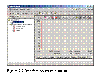 Text Box: 
Figura 7.7 Interfata System Monitor
