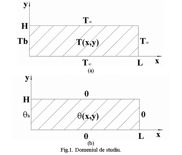 Text Box: 
(a)
 
(b)
Fig.1. Domeniul de studiu.
