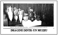 Text Box:  
IMAGINE DINTR-UN MUZEU
