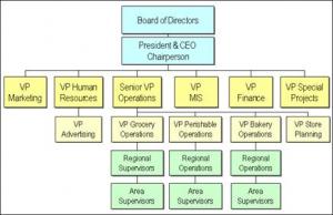 An Organization Chart Reveals An Organization S