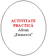 Oval: ACTIVITATE PRACTICA 
Album 