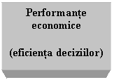 Text Box: Performante economice

(eficienta deciziilor)
