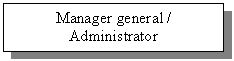 Text Box: Manager general / Administrator