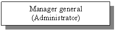 Text Box: Manager general
(Administrator)
