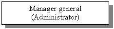 Text Box: Manager general
(Administrator)
