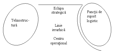 Oval: Tehnostruc-tura
,Oval: Functii de suport logistic
