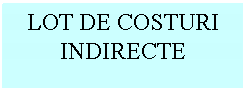 Text Box: LOT DE COSTURI INDIRECTE