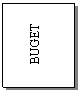 Text Box: BUGET
