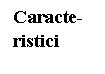 Text Box: Caracte-
ristici