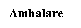 Text Box: Ambalare