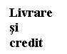 Text Box: Livrare si
credit