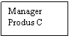 Text Box: Manager 
Produs C
