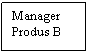 Text Box: Manager
Produs B

